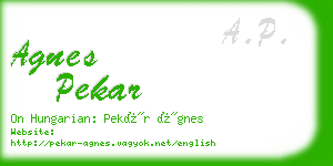 agnes pekar business card